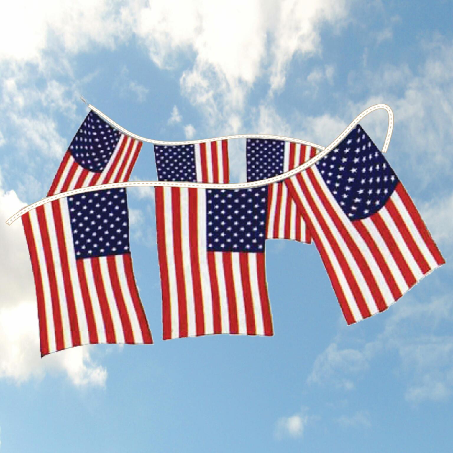 American Flag Pennants Ds Ds Dealers Supply Company