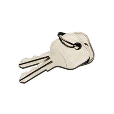 Extra Keys for DS-464 Key Cabinet auto dealer