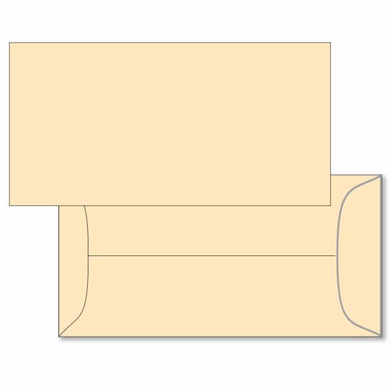 License Plate Mailing Envelopes
