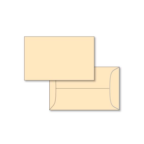 License Plate Mailing Envelopes