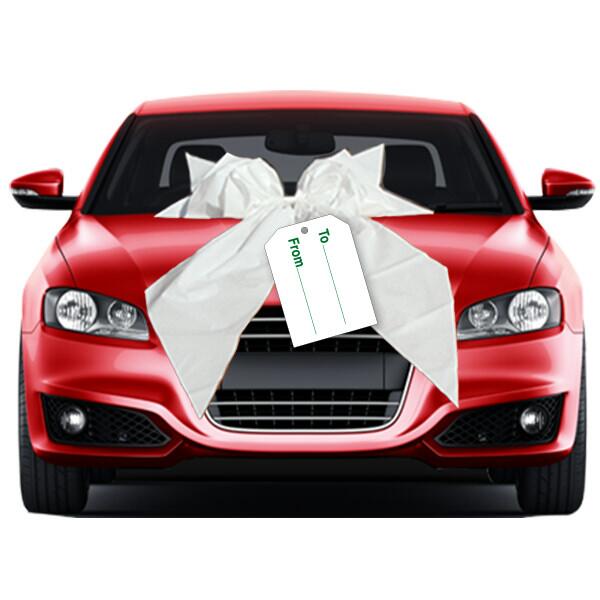 Large Gift Bows, US Auto Supplies