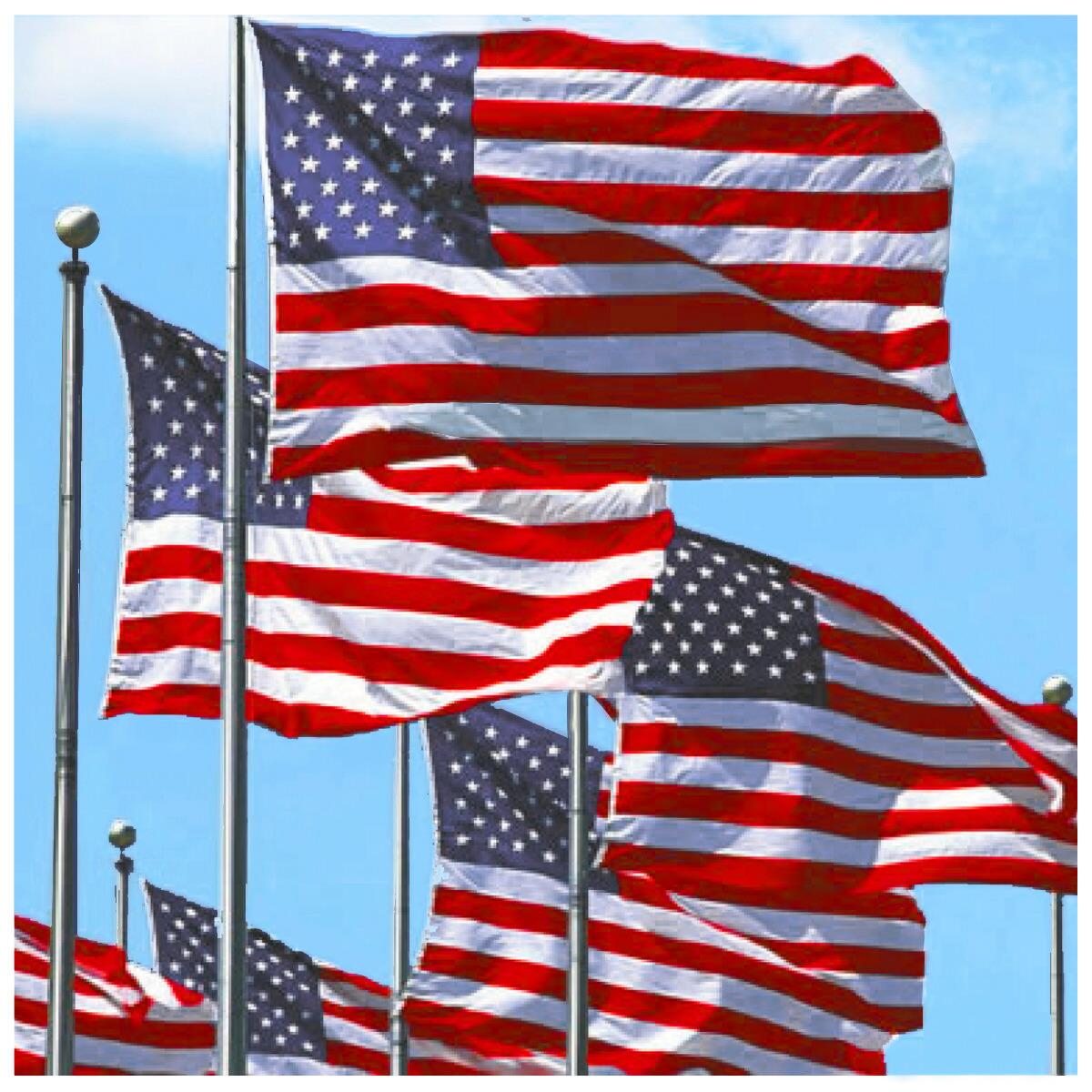 American Flags auto dealer supply